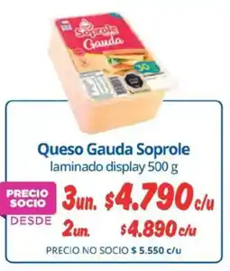 Alvi Soprole queso gauda oferta