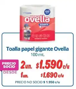 Alvi Ovella toalla papel gigante oferta