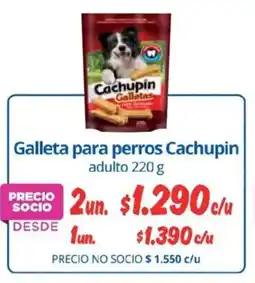 Alvi Cachupin galleta para perros oferta