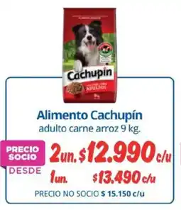 Alvi Cachupín alimento oferta