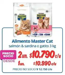 Alvi Master Cat alimento oferta