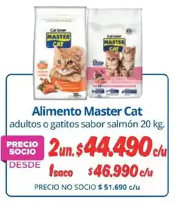 Alvi Master Cat alimento oferta