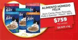 Super Ganga Félix alimento húmedo oferta