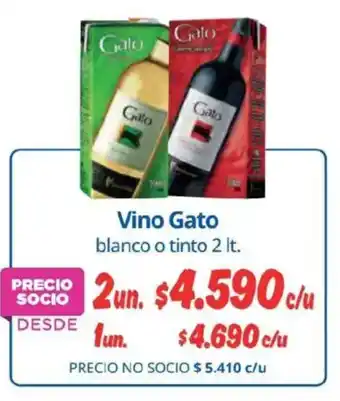 Gato vino