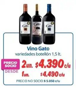 Alvi Gato vino oferta
