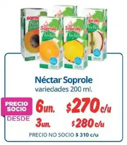 Alvi Soprole Néctar oferta