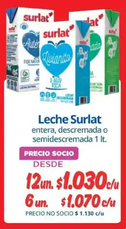 Alvi Surlat leche oferta