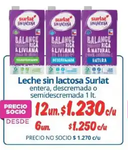 Alvi Surlat leche sin SIN LACTOSA oferta