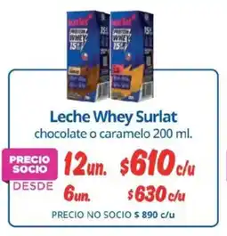 Alvi Surlat leche whey oferta