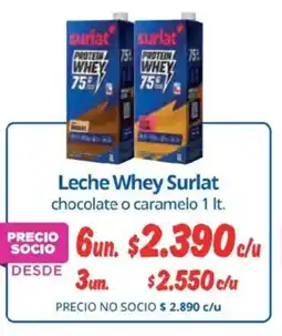 Alvi Surlat leche whey oferta