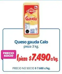 Alvi Calo queso gauda oferta