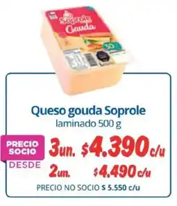 Alvi Soprole queso gouda oferta