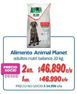 Alvi Animal Planet alimento oferta