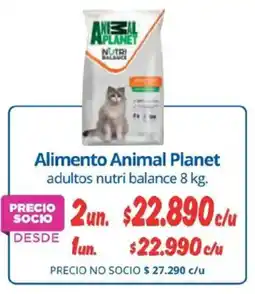 Alvi Animal Planet alimento oferta