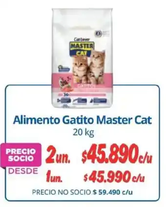 Master Cat alimento gatito