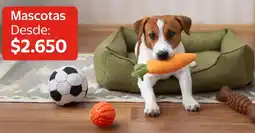 Lider Mascotas oferta