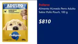 Lider Pedigree alimento húmedo perro adulto sabor pollo pouch oferta