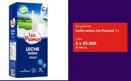 Unimarc Los peumos leche entera oferta