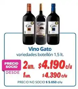 Alvi Gato vino variedades botellón oferta