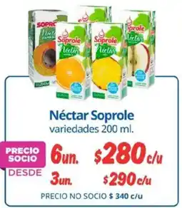 Alvi Soprole néctar variedades oferta