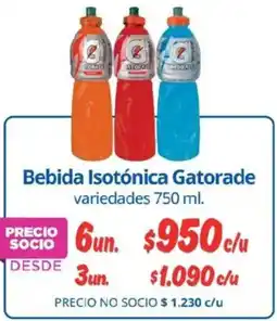 Alvi Gatorade bebida isotónica variedades oferta