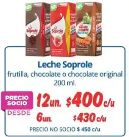 Alvi Soprole leche frutilla, chocolate o chocolate original oferta