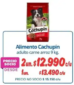 Alvi Cachupín alimento adulto carne arroz oferta