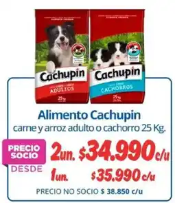 Alvi Cachupin cachupin carne y arroz adulto o cachorro oferta