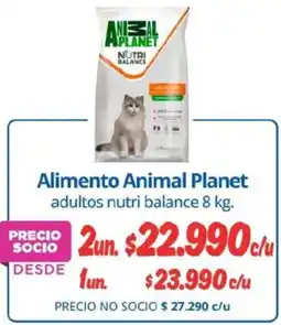 Alvi Animal planet alimento adultos nutri balance oferta