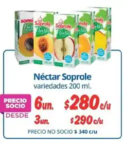 Alvi Soprole néctar variedades oferta