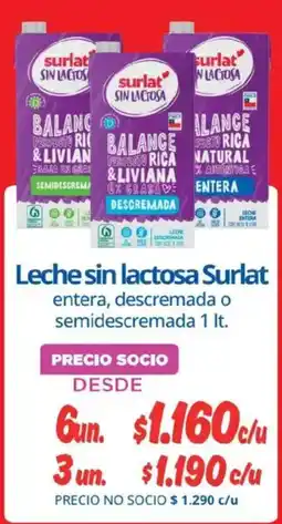 Alvi Surlat leche sin lactosa entera, descremada o semidescremada oferta