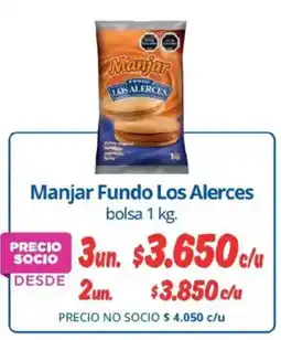 Alvi Los alerces manjar fundo oferta