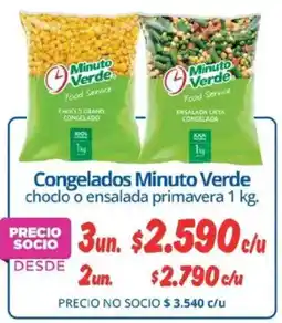 Alvi Minuto verde congelados choclo o ensalada primavera oferta