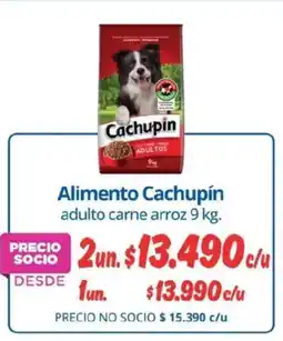 Alvi Cachupín alimento adulto carne arroz oferta