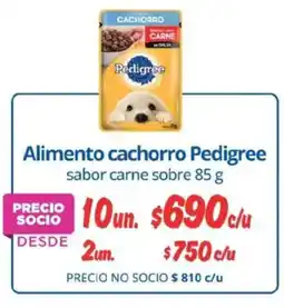 Alvi Pedigree alimento cachorro sabor carne sobre oferta