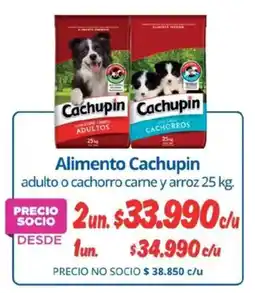 Alvi Cachupin alimento adulto o cachorro carne y arroz oferta