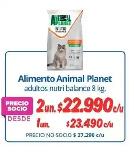 Alvi Animal planet alimento adultos nutri balance oferta