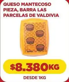 Comercial Castro Las parcelas de valdivia - queso mantecoso oferta