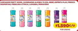 Comercial Castro Poett - limpiador oferta
