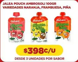 Comercial Castro Ambrosoli - jalea pouch oferta