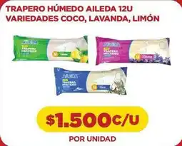 Comercial Castro Trapero húmedo 12u variedades coco, lavanda, limón oferta