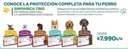 Cruz Verde Trio - conoce la protección completa para tu perro oferta