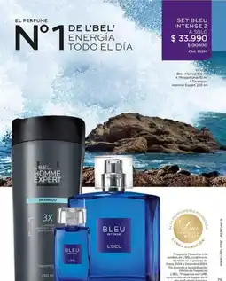 L'Bel Control - set bleu intense 2 oferta