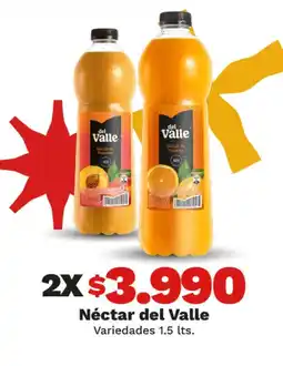 OXXO Andina del valle - néctar oferta