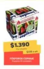 Super Ganga Copihue - fogforos comhue oferta