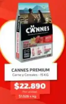 Super Ganga Cannes - premium oferta