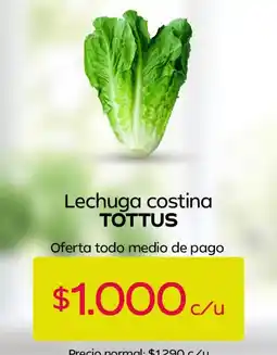 Tottus Tottus - lechuga costina oferta