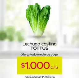 Tottus Tottus - lechuga costina oferta
