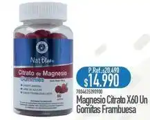 Nautica Natur - magnesio citrato x60 un gomitas frambuesa oferta