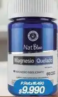 Nautica Magnesio bissuccinato 60 oferta